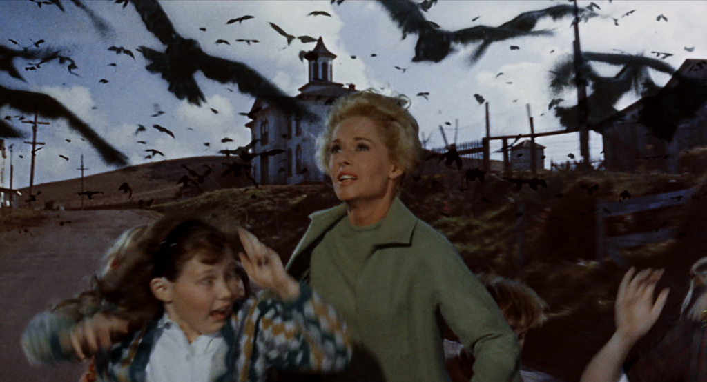 Tippi Hedren (Melanie Daniels) siendo atacada por pájaros