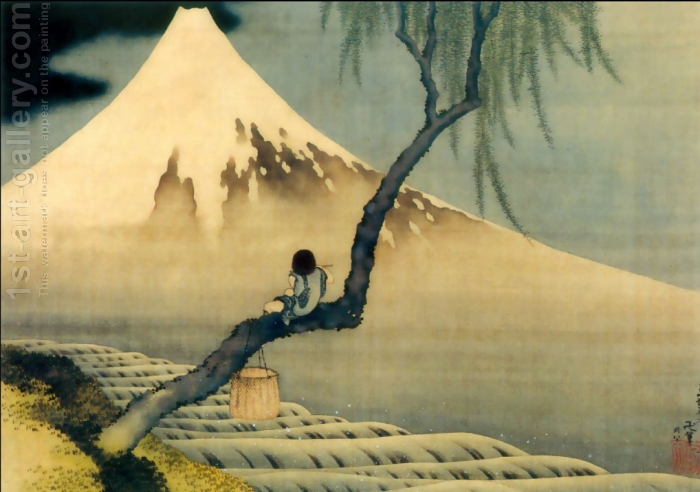Boy on Mount Fuji  Mount Fuji